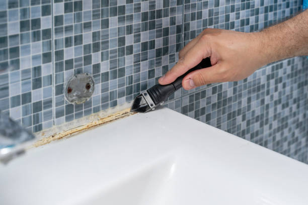 Best Post-Flood Mold Remediation in Robinwood, MD
