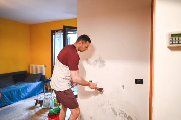 Best Attic Mold Remediation in Robinwood, MD